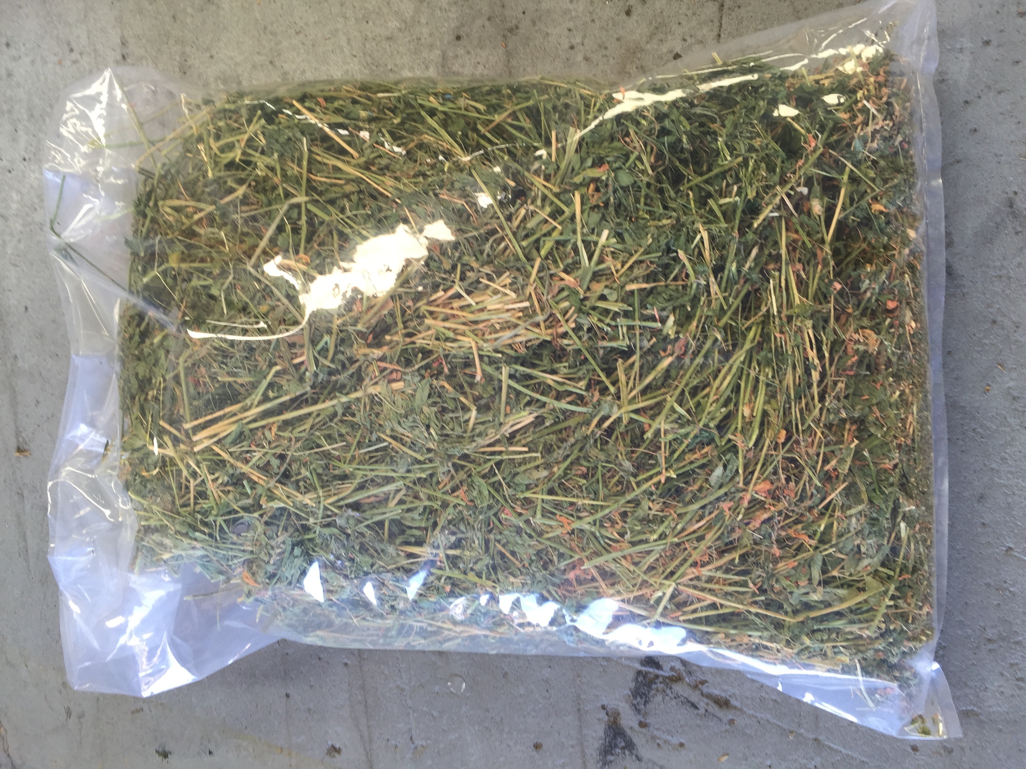 Lucerne hay cheap for rabbits